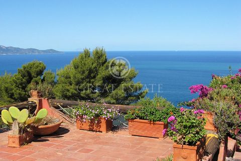 Sea view apartment located within the prestigious and renowned Olivastri di Cala Moresca. Porto Santo Stefano, residence with swimming pool and custodian. This large and spacious apartment is laid out on the ground floor level with direct access to i...