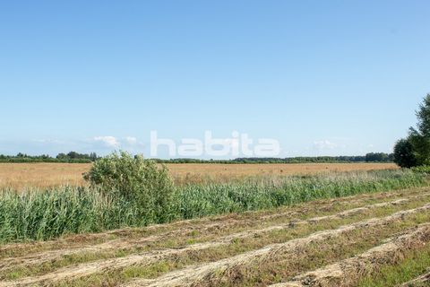 A 2.06 ha plot of land for the construction of a private house in Mārupe district for sale! Very quiet and close to nature, with a gravel driveway.