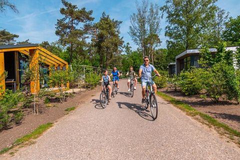 Dit vrijstaande, leuke tiny house staat op het natuurrijke vakantiepark Resort De Hooge Veluwe. Het ligt pal tegenover het mooie en unieke Nationaal Park Hoge Veluwe en toch op maar 9 km. van het gezellige centrum van de stad Arnhem. Het leuke, gezel...