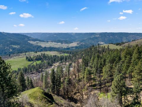 This property features 20 acres of timberland with a gently sloping terrain. Within this peaceful setting sits a cozy 5th wheel camper, providing a comfortable living space. Experience the tranquility of rural life and take the opportunity to live su...