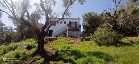 Mdt 182. EXCLUSIVITY - SOLENZARA - Domaine de Cala D'Oru - VIAGER - Occupied without rent with only one occupant - Mrs. 81 years old - Come and discover this pretty house of 72m2 on one level on a very beautiful plot of 1824 m2 with access to the bea...