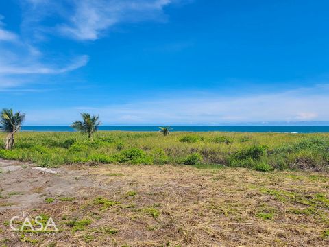The level topography of this lot offers the perfect foundation for a seamless construction process. Imagine yourself stepping onto your front porch, where a gentle ocean breeze caresses your face, and breathtaking vistas of the glistening sea await j...