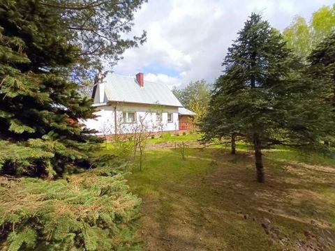 We offer for sale a small, year-round house, located in the town of Krajęczyn (Płoń district, Joniec commune). The total area is 76 m2 and the usable area is 60 m2. Plot of 1600 m2. In addition to the house itself, there is also a large wood shed, a ...