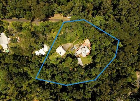 Dream rainforest acreage right in town! Save the long drives and live in a secure private paradise yet have all services at possible walking distance. Enjoy clean town water or use onsite rainwater tank. There is a choice of 3 accommodation units, a ...