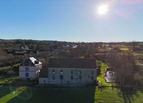 Dpt Allier (03), à vendre proche de Moulins - Maison de maître et Moulin aménagé de 667 m2 - Terrain 3,52 ha