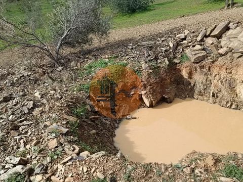 Terreno rustico di 2.920 m2, a Monte dos Matos a Castro Marim - Algarve - Portogallo. Terreno con buon accesso. E alcuni alberi. Piattaforma per roulotte. La terra è pulita. Con terrazzi e accesso già realizzato. Vicino all'elettricità e all'acqua. V...