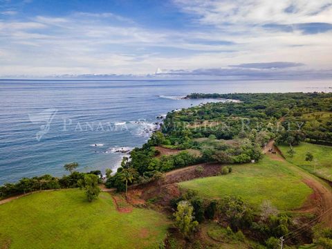Introducing a collection of exclusive ocean-view lots located in the beautiful coastal region of Los Destiladeros, just minutes away from the charming town of Pedasi, Panama. This ocean-view subdivision in Pedasi offers a rare opportunity to own a pi...