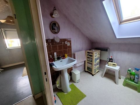 photo no. 12