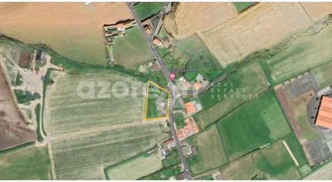 Excellent investment opportunity. Land of 1393 m² for sale in Ginetes, Ponta Delgada, with an improvement. Located in one of the most desirable regions of the island of São Miguel, this land offers great return potential, privileged location and natu...