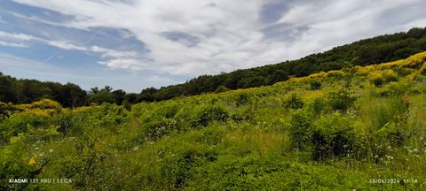 A7 / BOLLENE / 20 min. Sur site touristique reconnu en Drôme Provençale, plus de 6 HECTARES DE VIGNES exposées plein sud, dont certaines protégées des vents. Pour certaines, attenantes de plus de 3 Hectares de Grenache et Viognier en AOP COTE DU RHON...