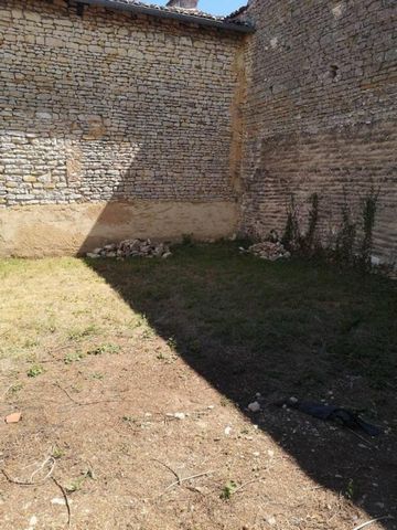photo no. 6