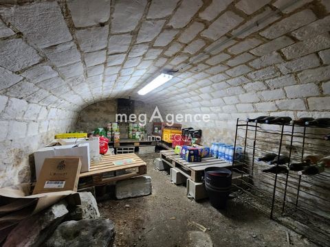 photo no. 12