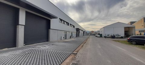 Localizado num condomínio fechado no Núcleo Empresarial de Arruda dos Vinhos, está a crescer o novo Polo Industrial. Armazém com uma área útil de 298 m2, distribuídos da seguinte forma: Piso 0: 255 m2; Mezzanine: 43 m2; Principais características: - ...