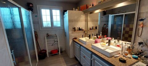 photo no. 12