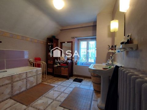 photo no. 10