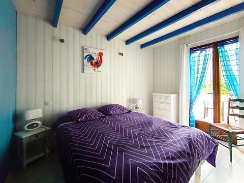 photo no. 16