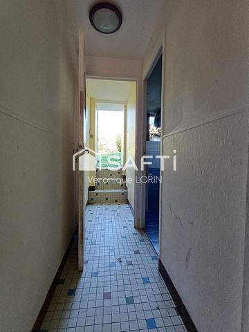 photo no. 11
