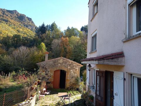 photo no. 15