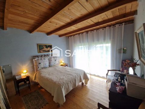 photo no. 11