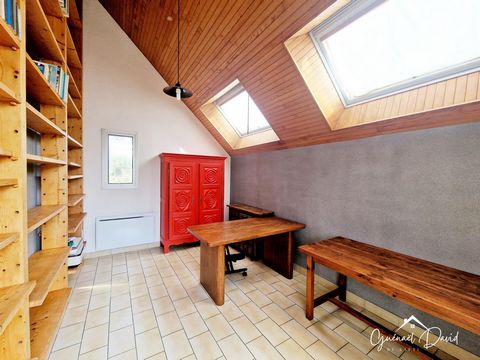 photo no. 12