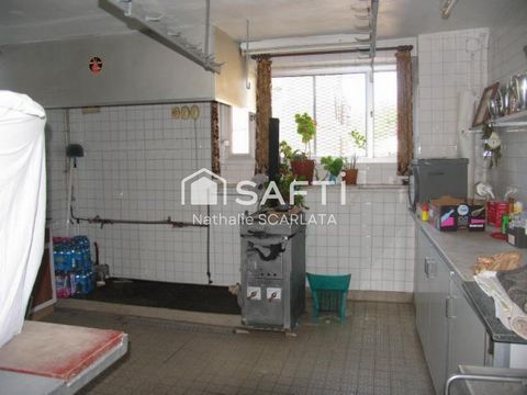 photo no. 10