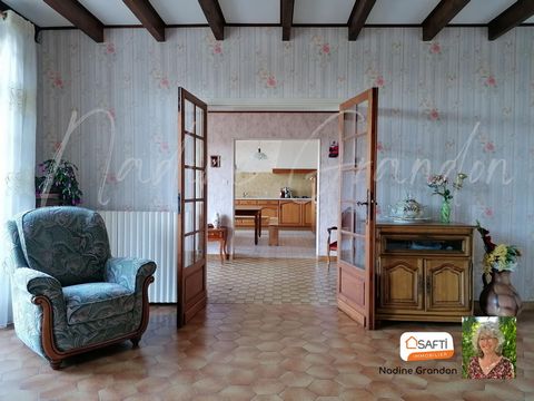 photo no. 10