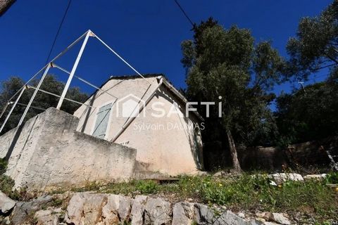 photo no. 10