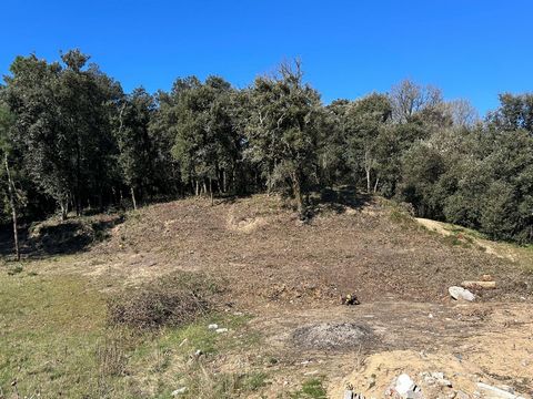Terrain de 803 m2 aux Conches