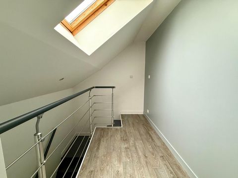 photo no. 8