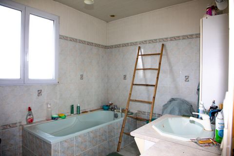 photo no. 7