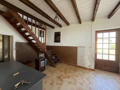 photo no. 6