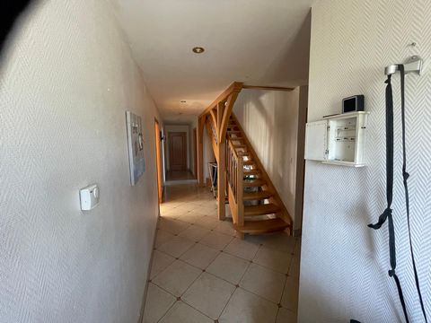 photo no. 11