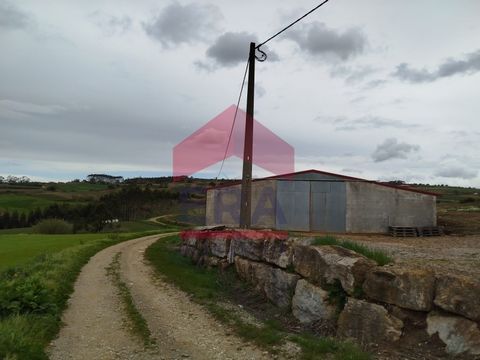 Armazém amplo com 940m2. Com 4 entradas independentes Localiza-se a 5 minutos da Lourinhã. Para mais informação ou agendar a sua visita, contacte-nos através do número: (telefone) Chamada para a rede fixa nacional) *As informações disponibilizadas sã...
