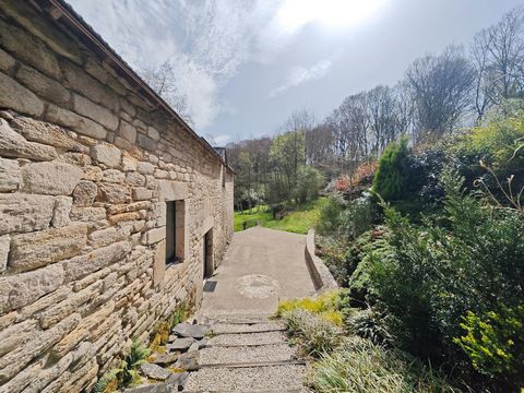 photo no. 17