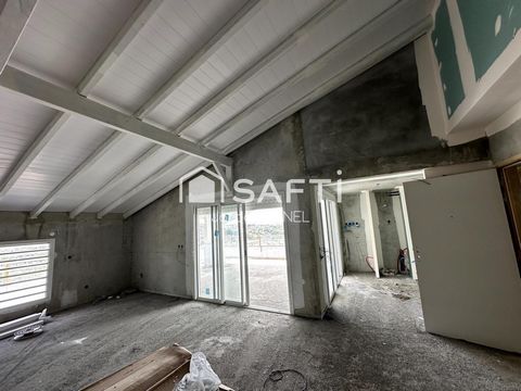 photo no. 7