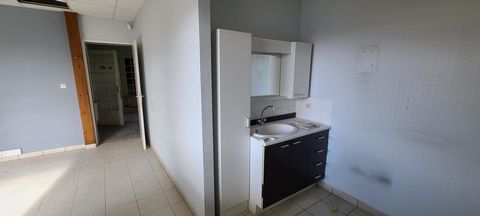 photo no. 6