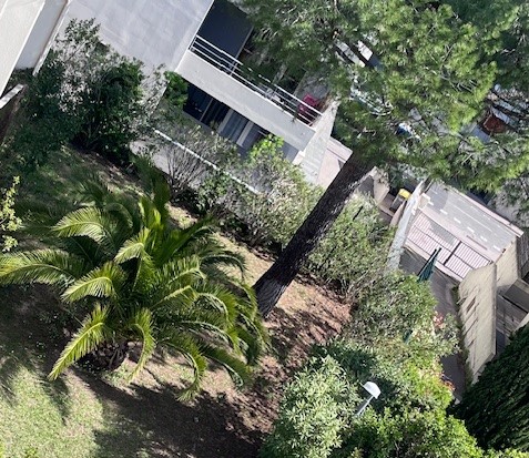 photo no. 16
