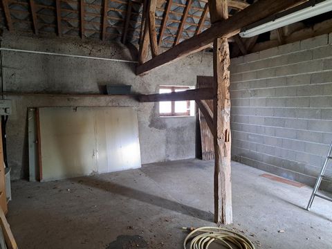 photo no. 10