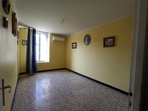 photo no. 8