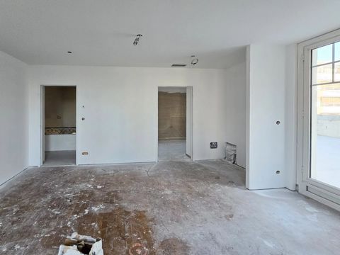 photo no. 10