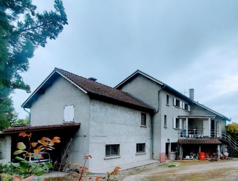 photo no. 3