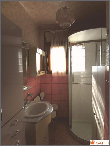 photo no. 6