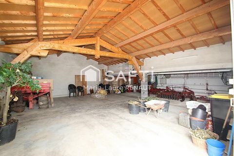 photo no. 3