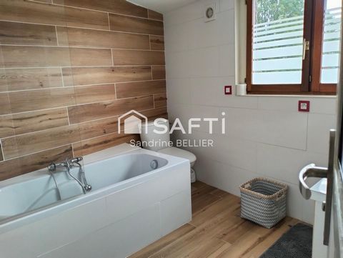 photo no. 6