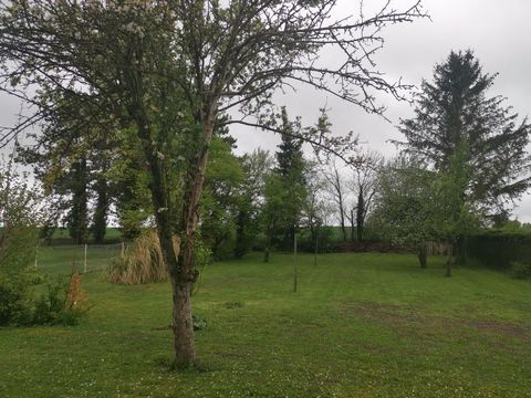 photo no. 10
