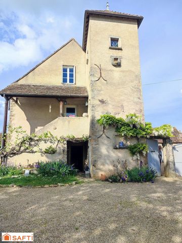 photo no. 13