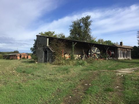 photo no. 13