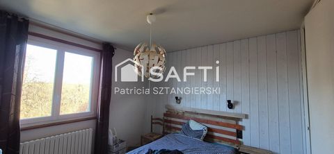 photo no. 7