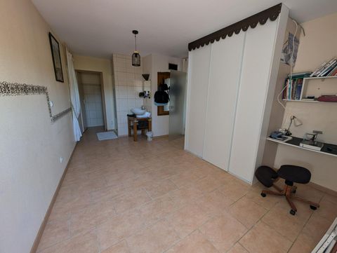 photo no. 11