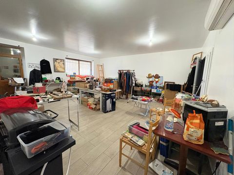 photo no. 6